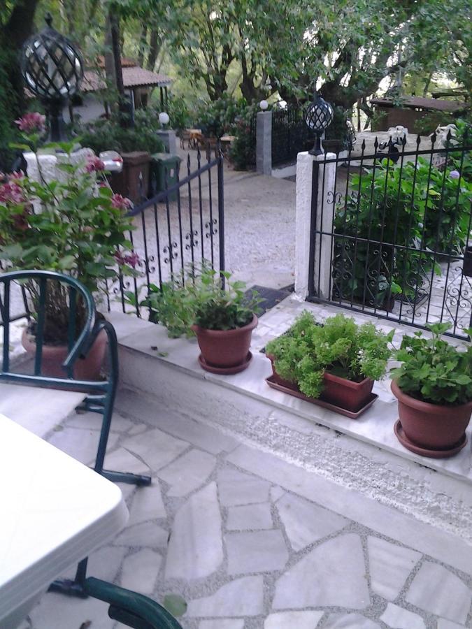 תרמה Orpheus Hotel מראה חיצוני תמונה
